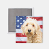 Goldendoodle met Amerikaanse vlag Magneet (Voorkant / Achterkant)