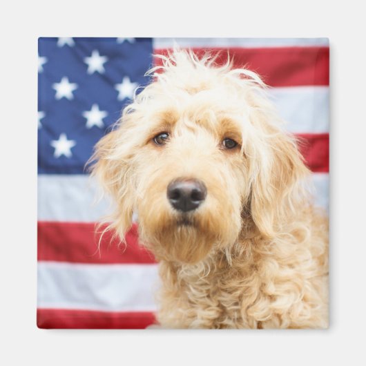 Goldendoodle met Amerikaanse vlag Magneet (Voorkant)
