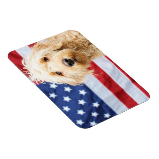 Goldendoodle met Amerikaanse vlag Magneet (Rechterzijde)