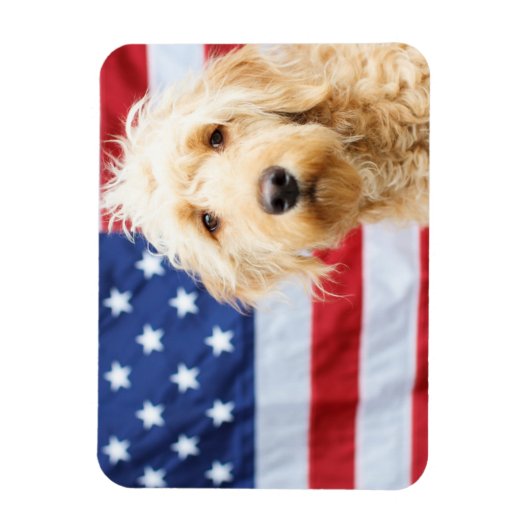 Goldendoodle met Amerikaanse vlag Magneet (Verticaal)