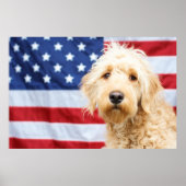 Goldendoodle met Amerikaanse vlag Poster (Voorkant)