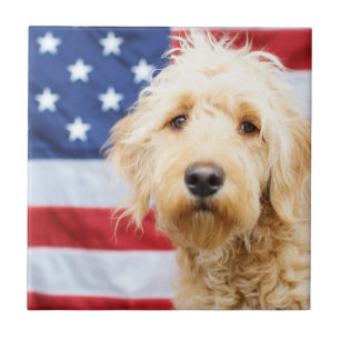 Goldendoodle met Amerikaanse vlag Tegeltje