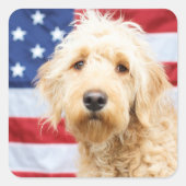Goldendoodle met Amerikaanse vlag Vierkante Sticker (Voorkant)