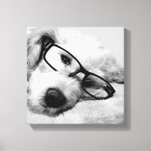Goldendoodle met bril canvas afdruk (Voorkant)