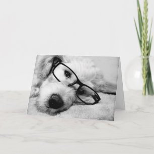 Goldendoodle met bril kaart