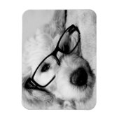 Goldendoodle met bril magneet (Verticaal)