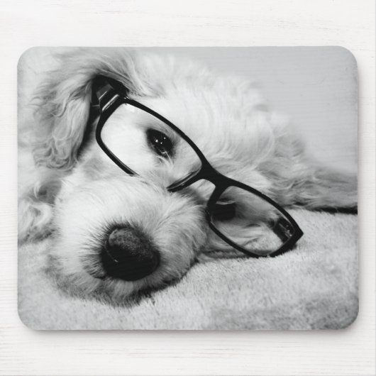 Goldendoodle met bril muismat (Voorkant)