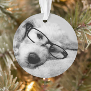Goldendoodle met bril ornament