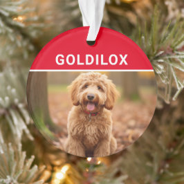 Goldendoodle met de naam van de hond Foto Kerstmis Ornament