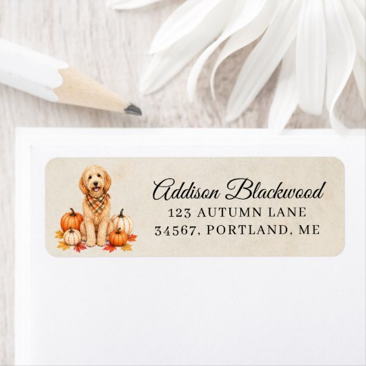 Goldendoodle met herfstpompoenen etiket (Insitu)