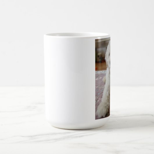 Goldendoodle Mok (Center)