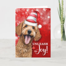 Goldendoodle Ontketent de vreugde van Kerstmis
