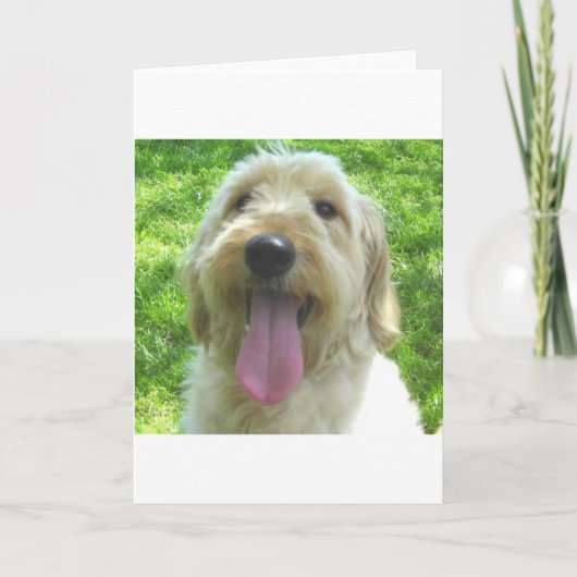 Goldendoodle Products Kaart (Voorkant)
