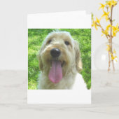 Goldendoodle Products Kaart (Gele Bloem)