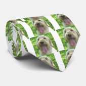 Goldendoodle Products Stropdas (Opgerold)