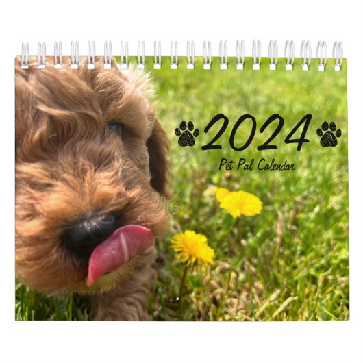 Goldendoodle Puppy 2024 Kalender (Hoes)