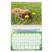 Goldendoodle Puppy 2024 Kalender (Mar 2026)