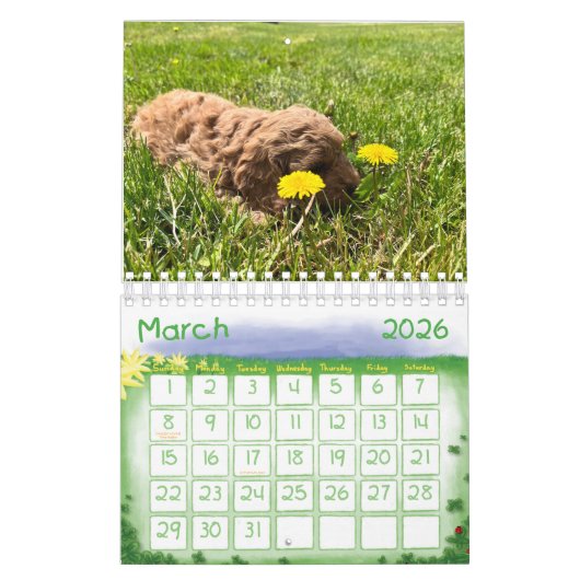 Goldendoodle Puppy 2024 Kalender (Mar 2026)