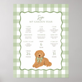 Goldendoodle Puppy Dog 1st Birthday Milestone  Poster