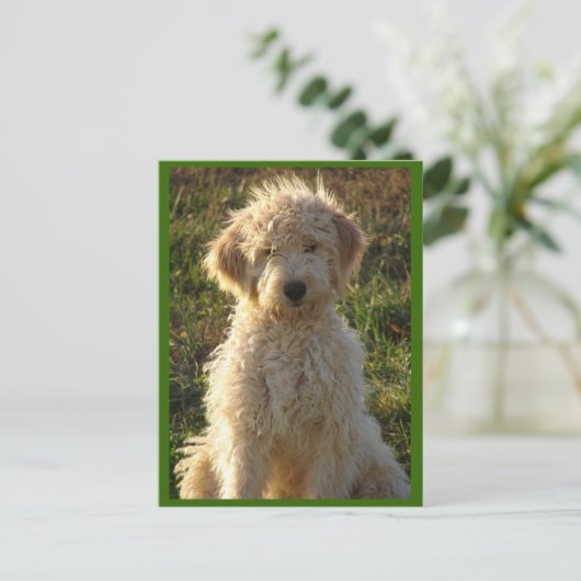 Goldendoodle Puppy Dog Blank Greeting Briefkaart (Staand voorkant)