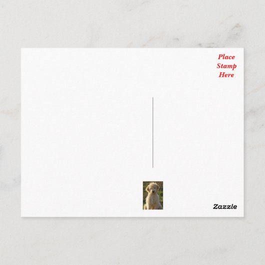 Goldendoodle Puppy Dog Blank Greeting Briefkaart (Achterkant)