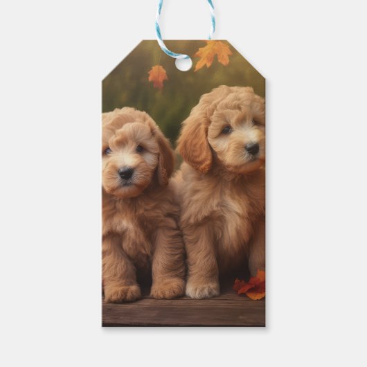 Goldendoodle Puppy Herfst Delight Pompoen Cadeaulabel (Voorkant)