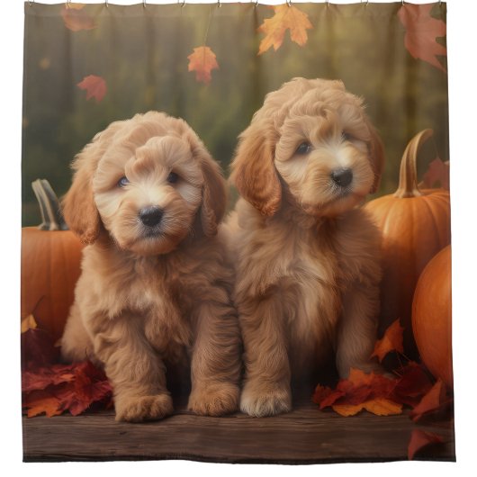 Goldendoodle Puppy Herfst Delight Pompoen Douchegordijn (Voorkant)