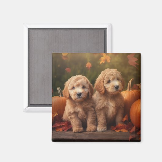 Goldendoodle Puppy Herfst Delight Pompoen Magneet (Voorkant / Achterkant)