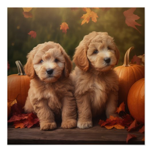 Goldendoodle Puppy Herfst Delight Pompoen Perfect Poster (Voorkant)
