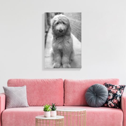 Goldendoodle Puppy In Backyard Canvas Afdruk (Insitu (Woonkamer))