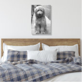 Goldendoodle Puppy In Backyard Canvas Afdruk (Insitu (Slaapkamer))