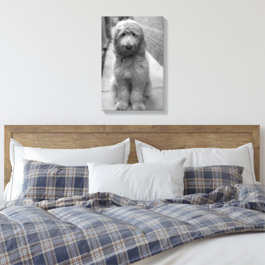 Goldendoodle Puppy In Backyard Canvas Afdruk (Insitu (Slaapkamer))