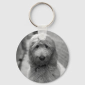 Goldendoodle Puppy In Backyard Sleutelhanger (Voorkant)