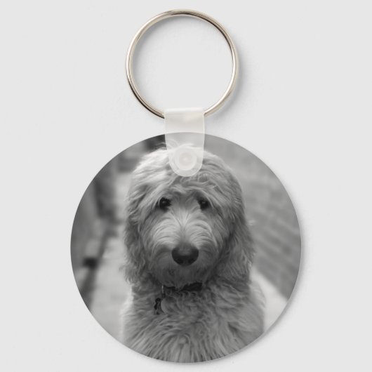 Goldendoodle Puppy In Backyard Sleutelhanger (Voorkant)