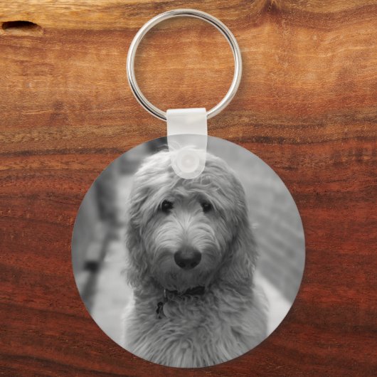 Goldendoodle Puppy In Backyard Sleutelhanger (Voorkant)