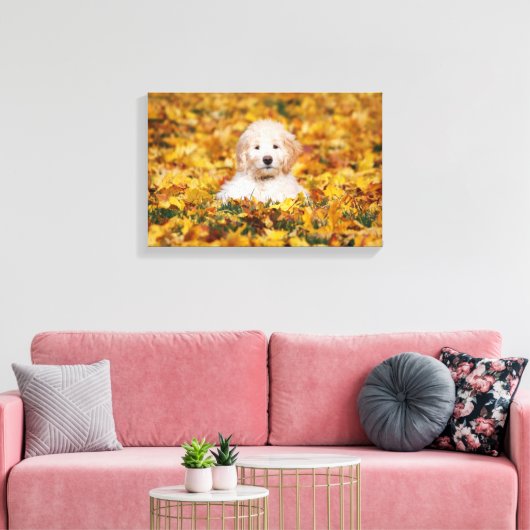 Goldendoodle Puppy In Fall Leaves Canvas Afdruk (Insitu (Woonkamer))