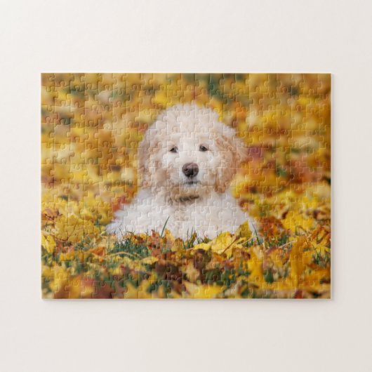 Goldendoodle Puppy In Fall Leaves Legpuzzel (Horizontaal)