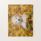 Goldendoodle Puppy In Fall Leaves Legpuzzel (Verticaal)