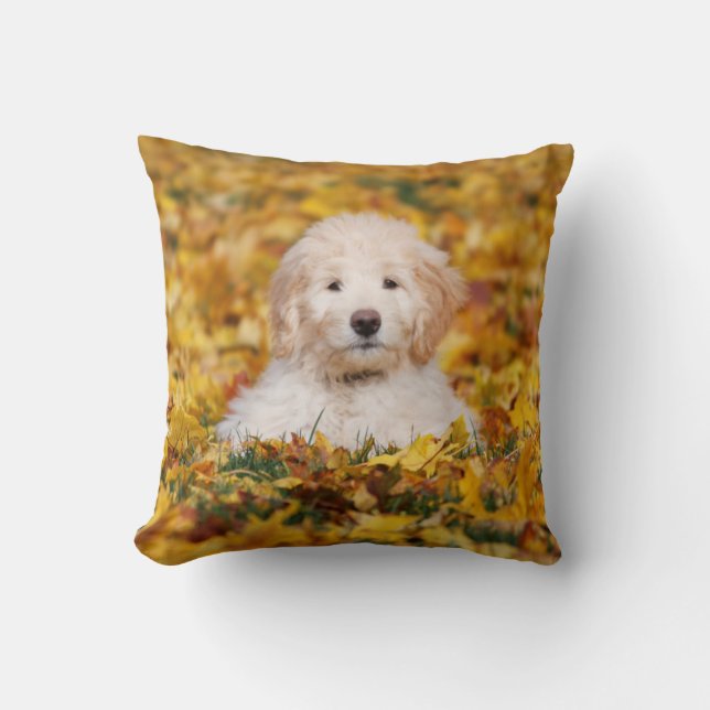 Goldendoodle Puppy In Herfstbladeren Kussen (Voorkant)