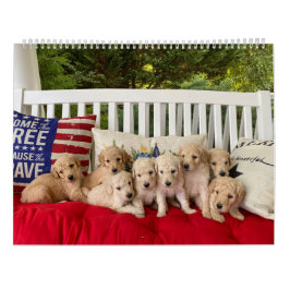 Goldendoodle Puppy Kalender