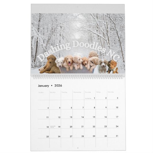 Goldendoodle Puppy Kalender (Jan 2026)