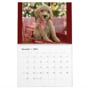Goldendoodle Puppy Kalender