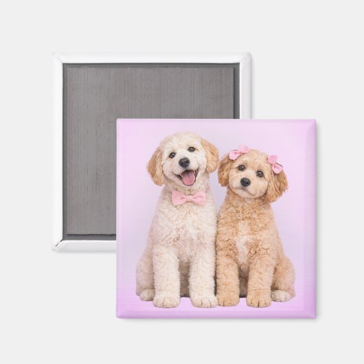Goldendoodle Puppy Love Valentine Magnet (Voorkant / Achterkant)