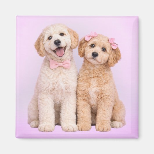 Goldendoodle Puppy Love Valentine Magnet (Voorkant)