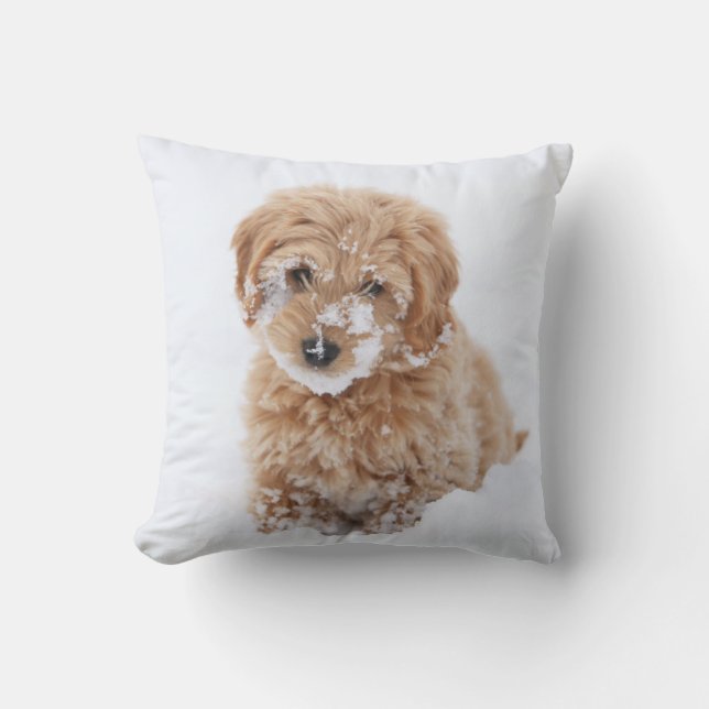 Goldendoodle Puppy Met Sneeuw Op Gezicht Kussen (Voorkant)