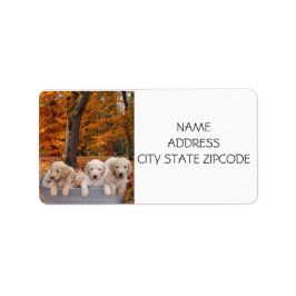 GOLDENDOODLE PUPPY RETURN ETIKETTERS ETIKET
