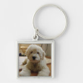 Goldendoodle Sleutelhanger (Voorkant)