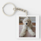 Goldendoodle sleutelhanger (voorkant)