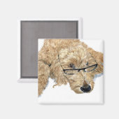 Goldendoodle Stella Magneten (Voorkant / Achterkant)