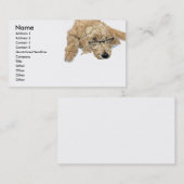 Goldendoodle Stella Visitekaartjes (Voorkant / Achterkant)